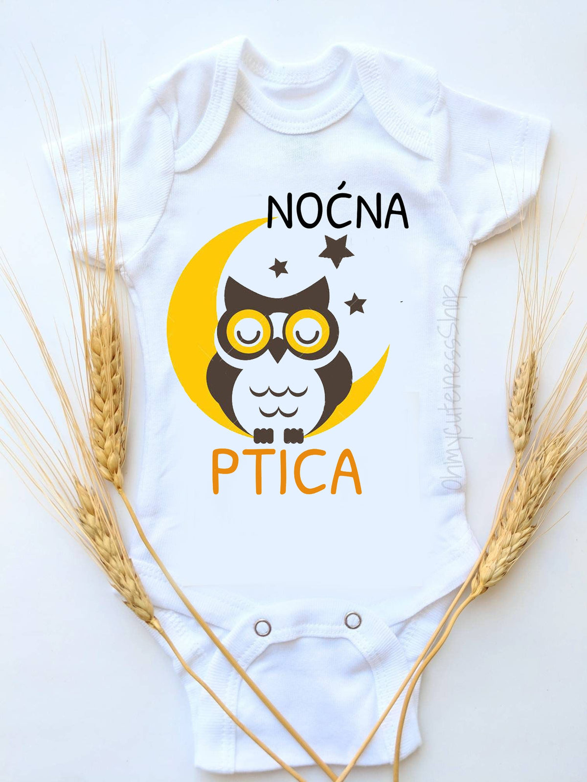 Noćna ptica
